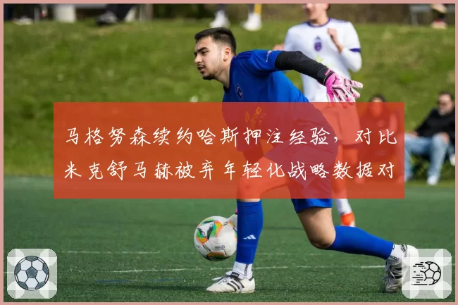 马格努森续约哈斯押注经验,对比米克舒马赫被弃年轻化战略数据对比