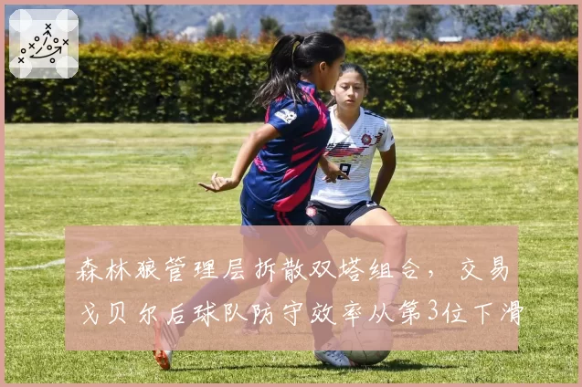 森林狼管理层拆散双塔组合,交易戈贝尔后球队防守效率从第3位下滑至第11位